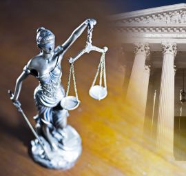 law_ser (6)