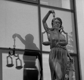 law_ser (7)